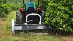 WhatsApp Image 2025-10-03 at 14.22.30 (1)